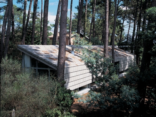 Habitat